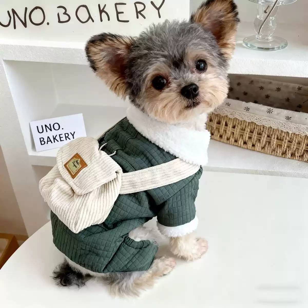 Winter New Style Dog Coat with Backpack, Four-Legged Thickened Warm Jacket for Small & Medium Dogs