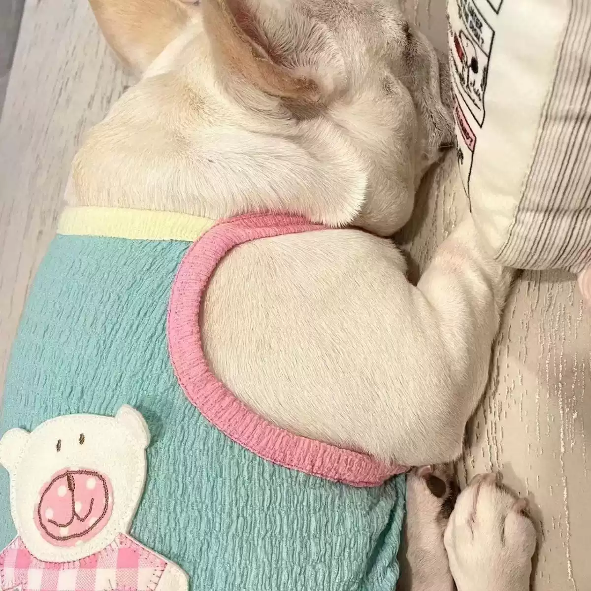 Thin Cotton Cartoon Vest for Dogs - Spring & Summer New Style