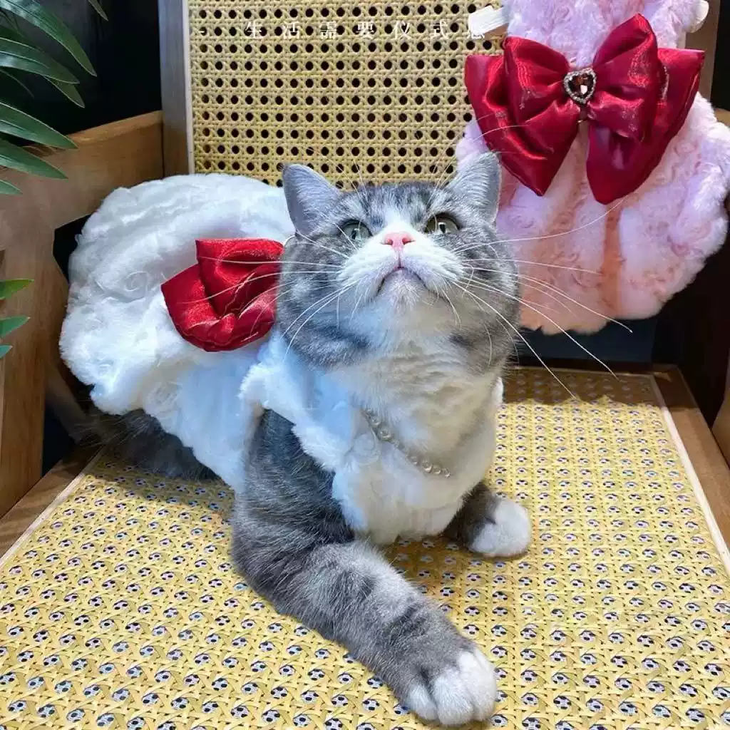 New Pet Fashion Bowknot Warm Skirt with Rabbit Fur for Dogs & Cats, Autumn/Winter