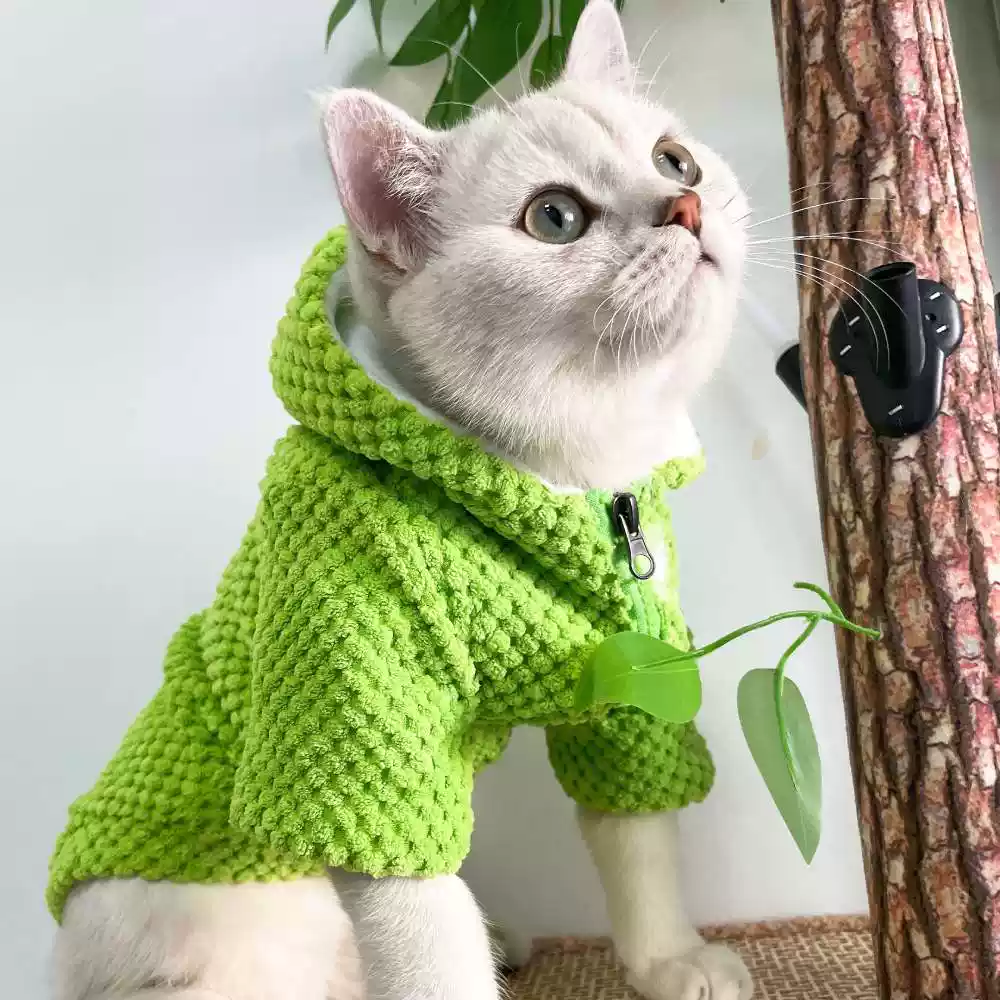 Cute Winter Cotton Cat Coat - Anti-Shedding for Small Pet Cats