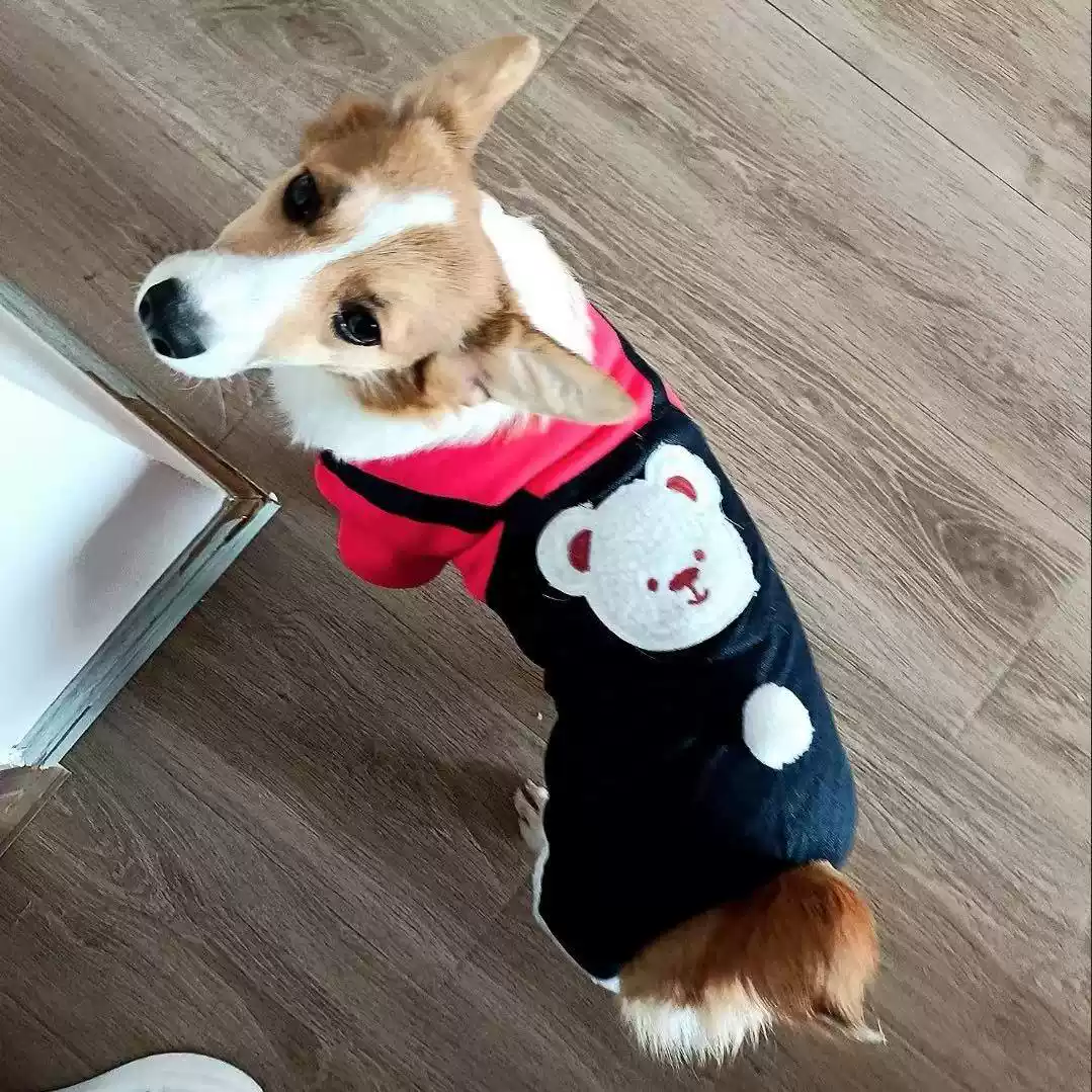 Autumn & Winter Thickened Warm Four-Legged Pet Coat for Small Dogs & Cats