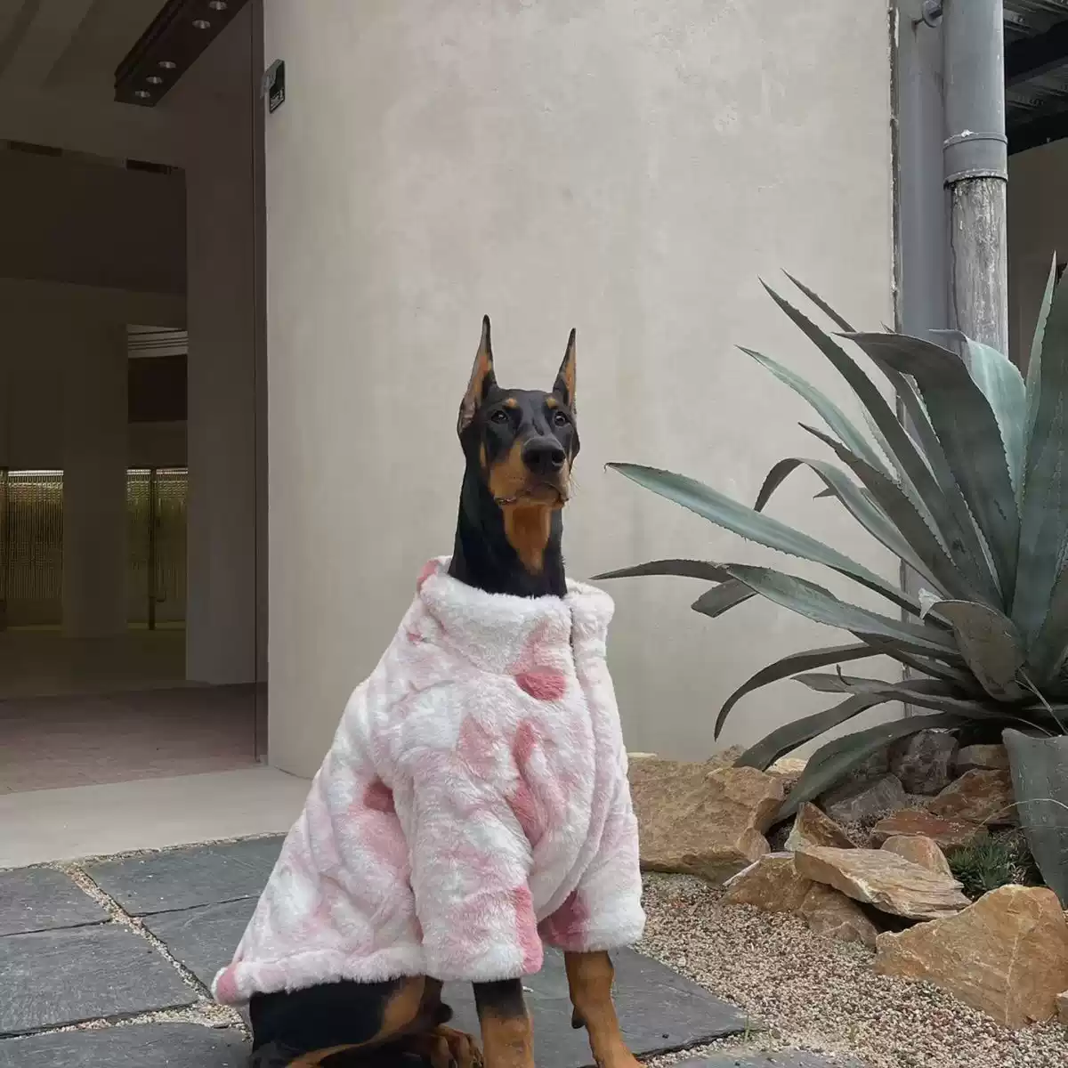 Large Breed Dog Winter Colorful Fleece Coat - Warm & Insulated