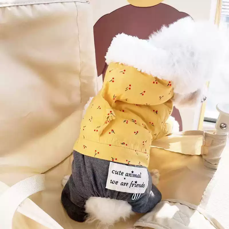 Cute Autumn & Winter Dog Clothes for Puppies (Pomeranian, Bichon Frise, Schnauzer, Poodle, Teddy Bear)