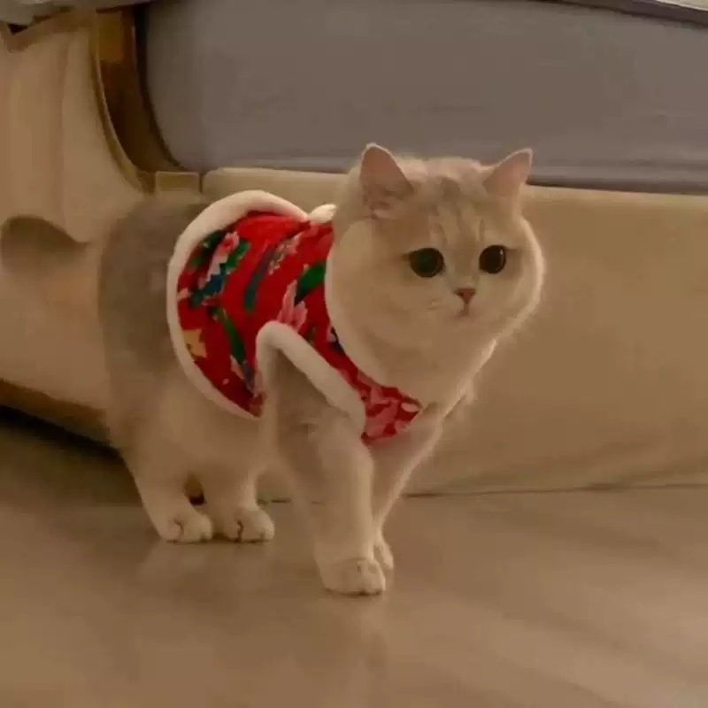 Winter & New Year Traditional Floral Pet Clothes for Cats and Dogs