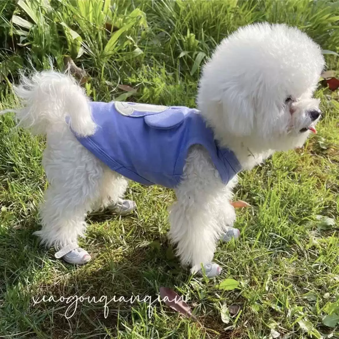 Summer Thin Breathable Pet Vest for French Bulldogs, Schnauzers, Bichon Frises, Poodles, Shiba Inus, West Highland White Terriers