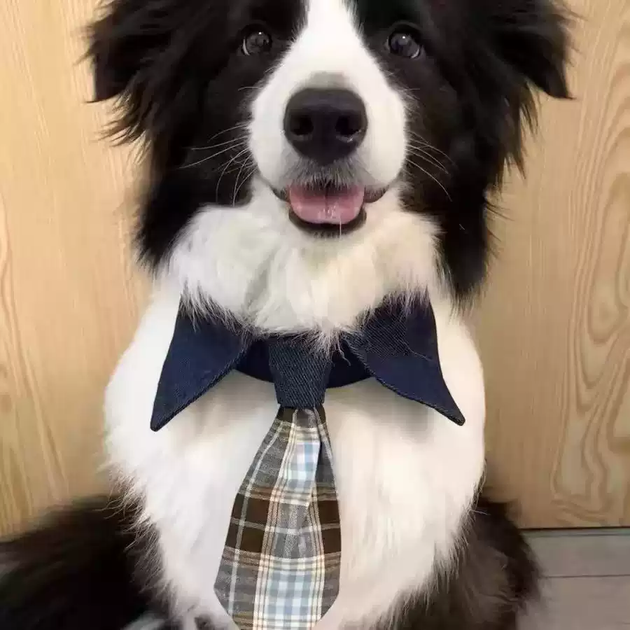 Cat & Dog Handmade Checkered Triangular Bandana Scarf, Versatile Tie & Bow Tie Accessory