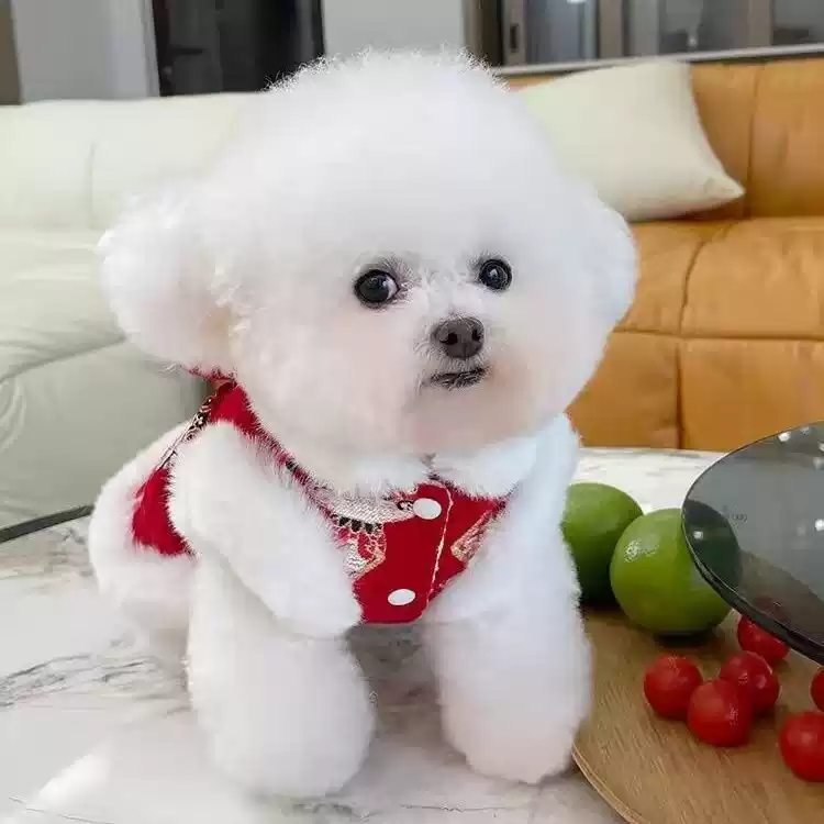 Fleece-Lined Autumn & Winter New Year Tang-Style Dress for Dogs & Cats