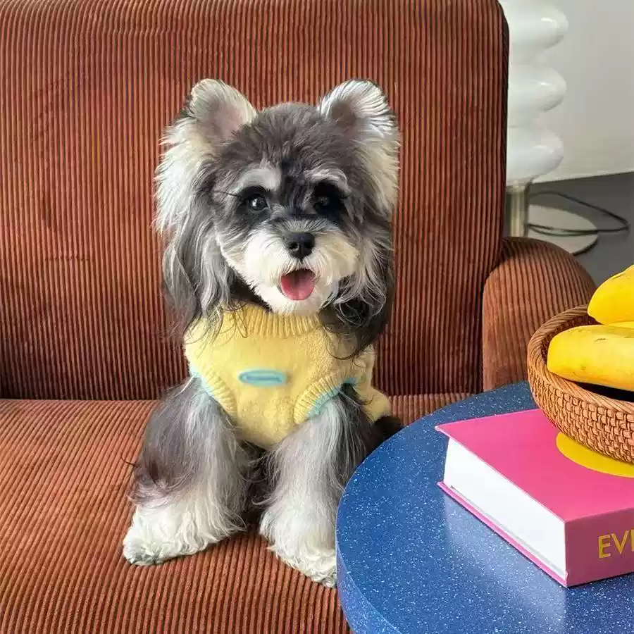 Cute Cartoon Style Pet Sweater - Winter Warm Dog & Cat Clothing