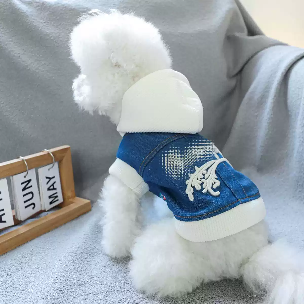 Small Dog Denim Hoodie with Hood - Snap Button, Comfortable for Spring & Autumn (Bichon, Pomeranian, Teddy)