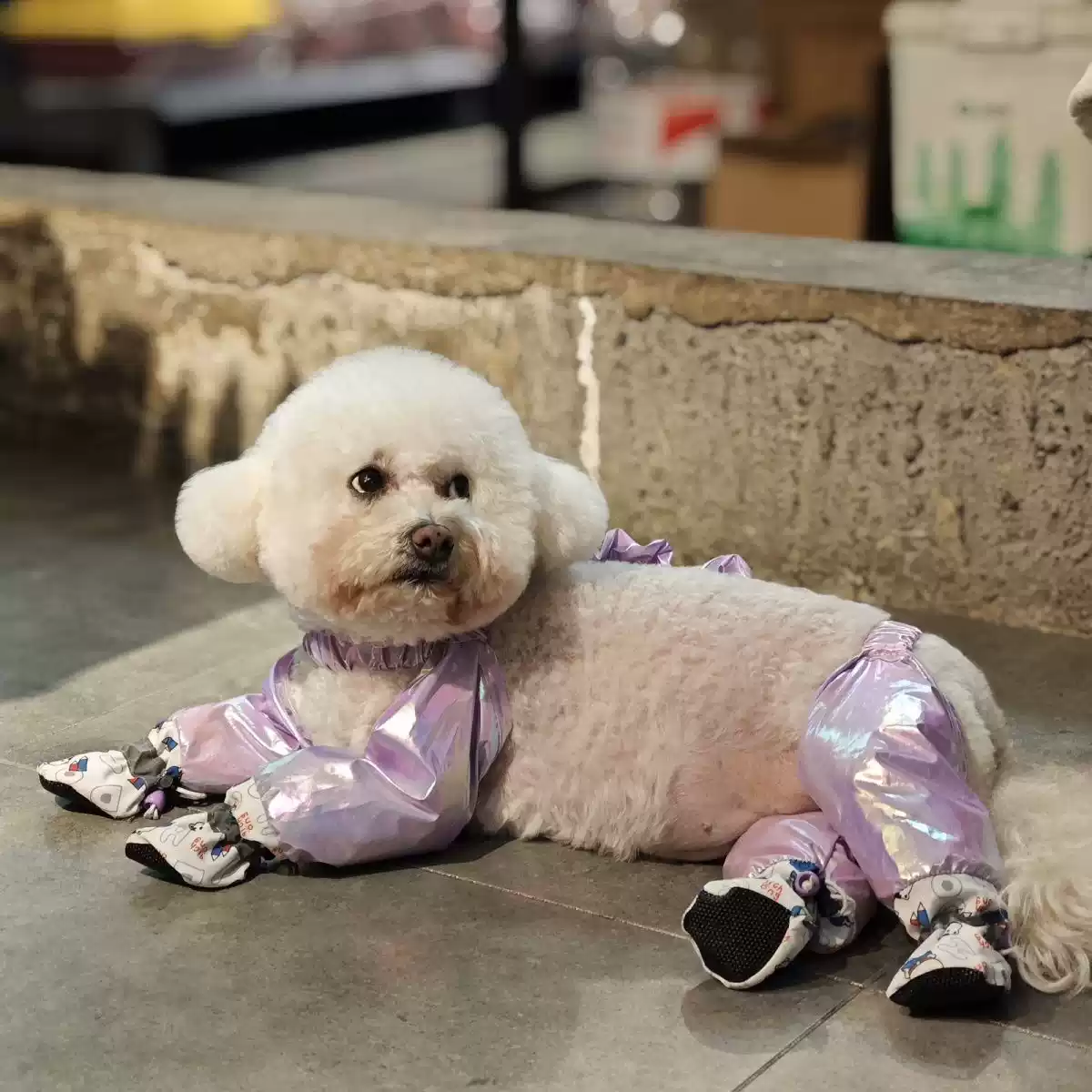 Small Dog Lightweight Insect-Proof Leg Protection Pants for Spring & Summer Outdoor Wear