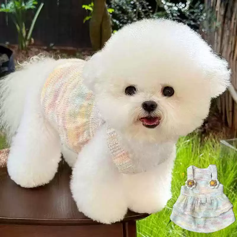 Leash-Compatible Pet Dress for Small Dogs & Cats - Princess Style