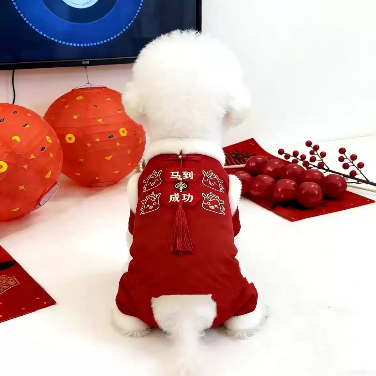 Festive Winter Dog Coat - Four-Legged Cotton Jacket for Small Dogs, New Year Celebration & Outdoor Wear