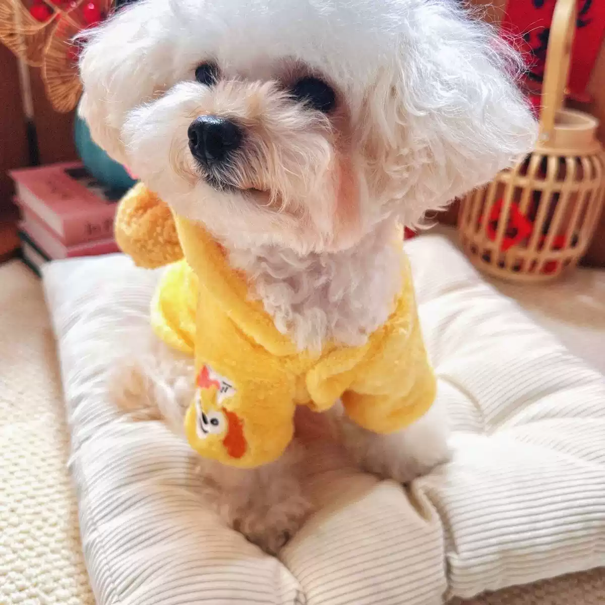 Cute Little Bear-Style Flannel Pet Outfit for Small Dogs & Cats - Thickened Warm 2-Legged Winter/Autumn Clothes