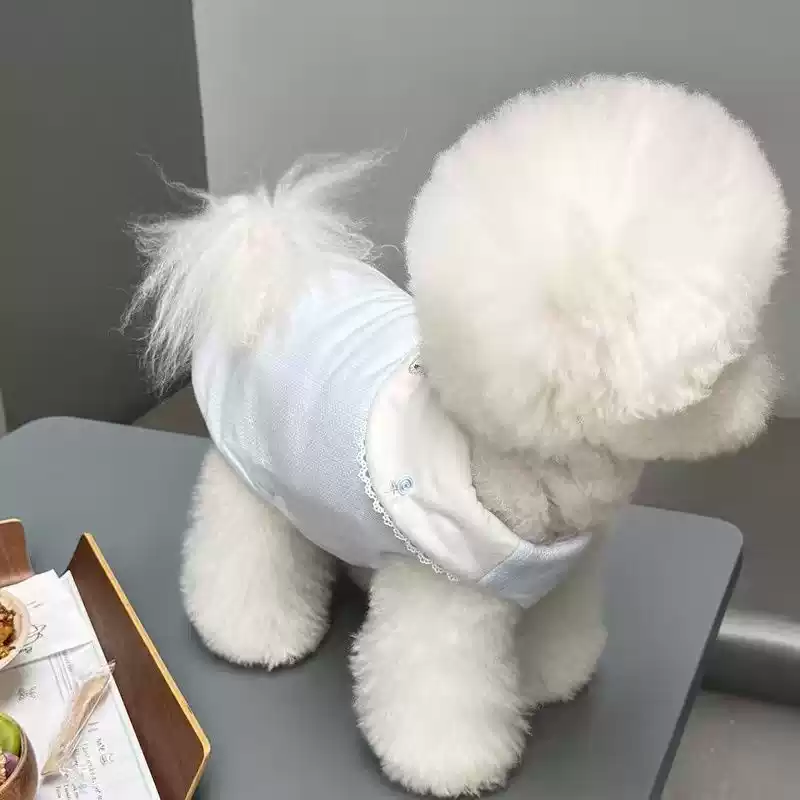 Small Pet Detachable Belly Protective Cotton Coat - Winter & Autumn Apparel for Small Dogs/Cats