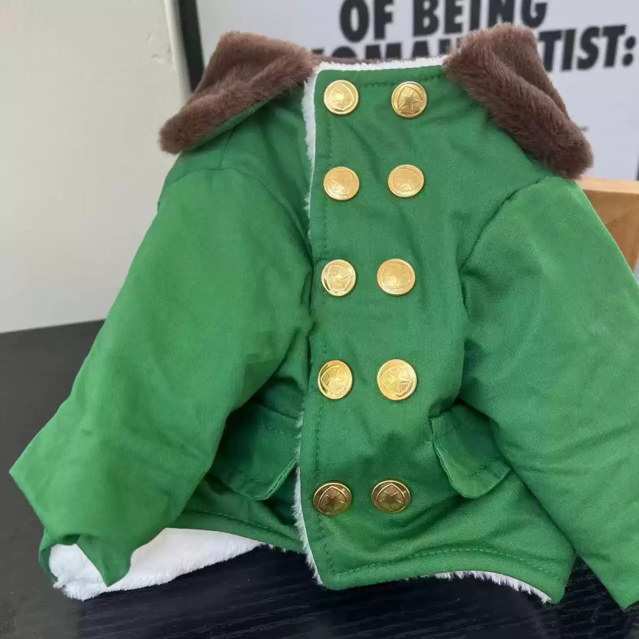 2024 New Pet Winter Fleece-Lined Warm Military-Style Coat for Dogs