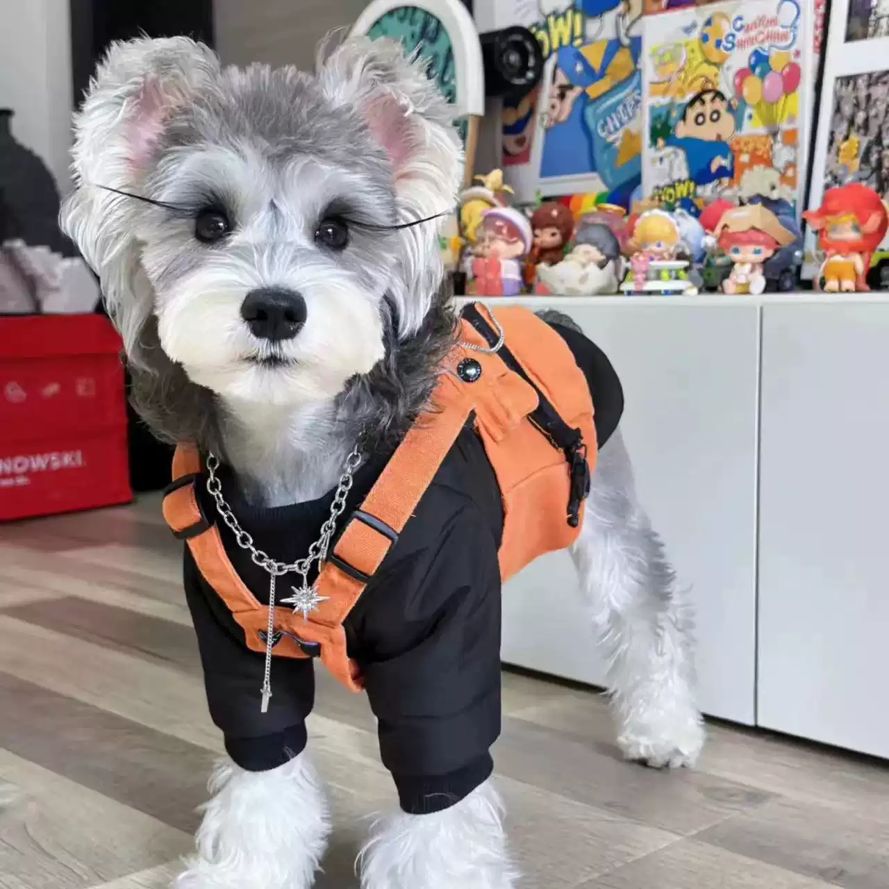 All-Season Pet Vest Jacket