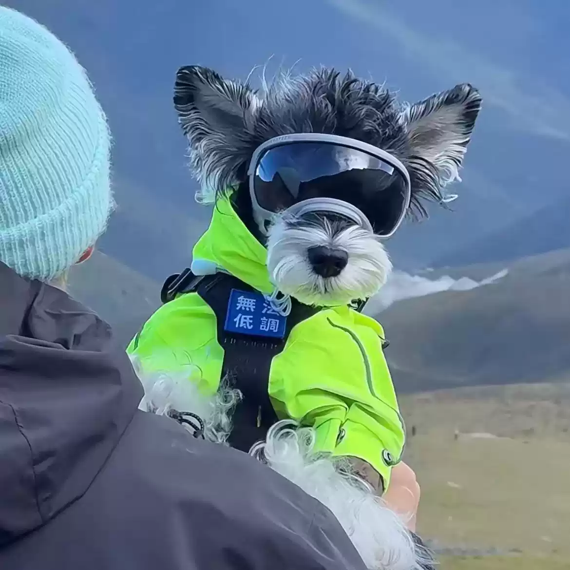 Pet Autumn/Winter Insulated Coat & Raincoat for Dogs & Cats