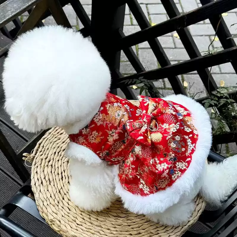 Pet New Year Outfit with 3D Butterfly - Festive Winter Autumn Clothes for Dogs & Cats (Teddy, Pomeranian, Cats)