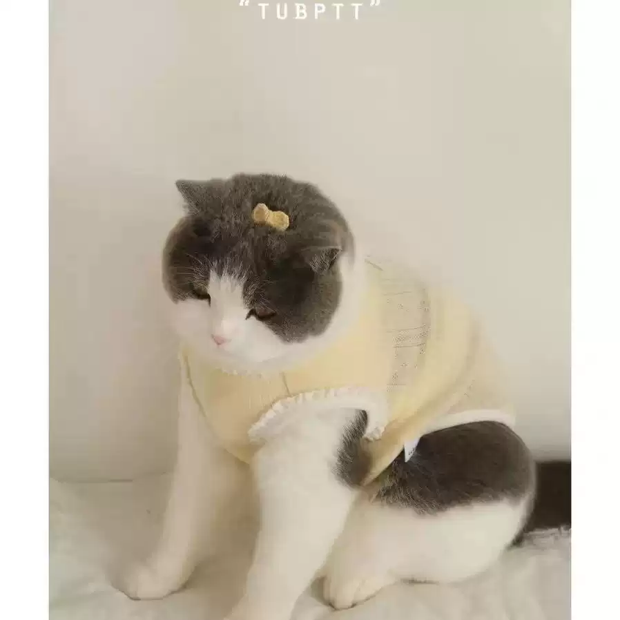 Cute Bow Vest for Dogs & Cats, Thin Spring/Autumn Anti-Shedding Base Layer