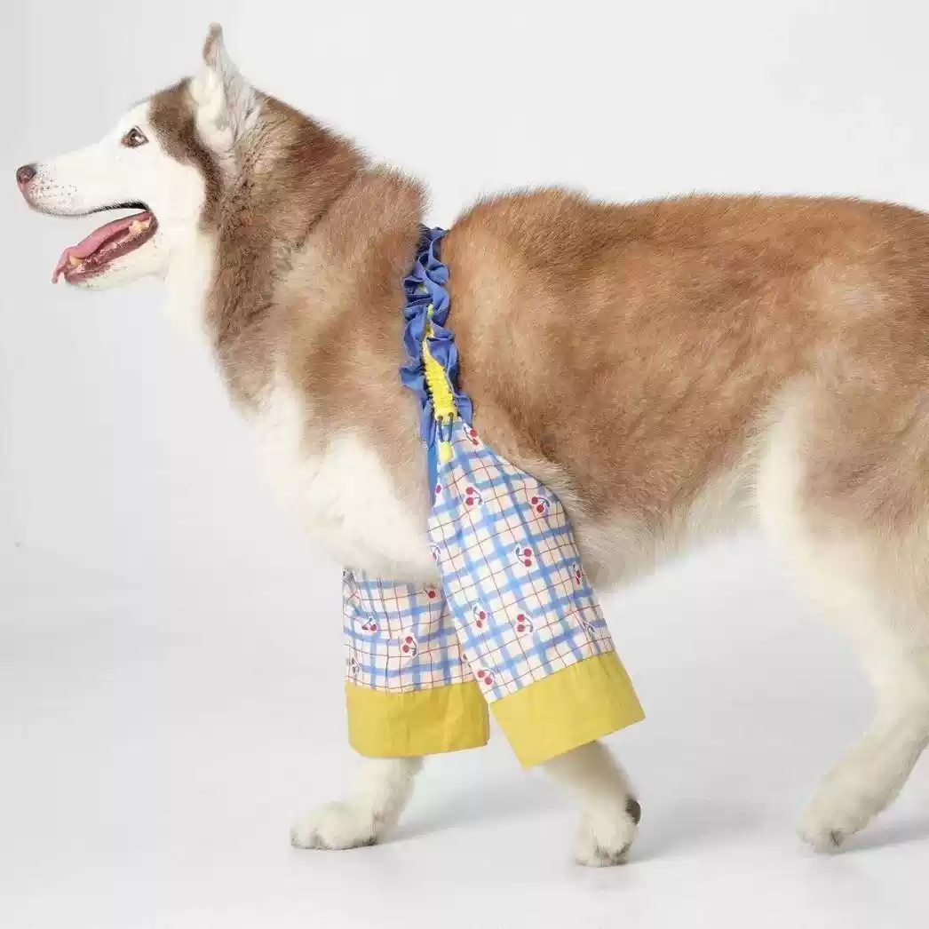 Dog Elbow & Knee Protection Sleeve for Large Breeds - All-Season Anti-Dirty Pet Cover