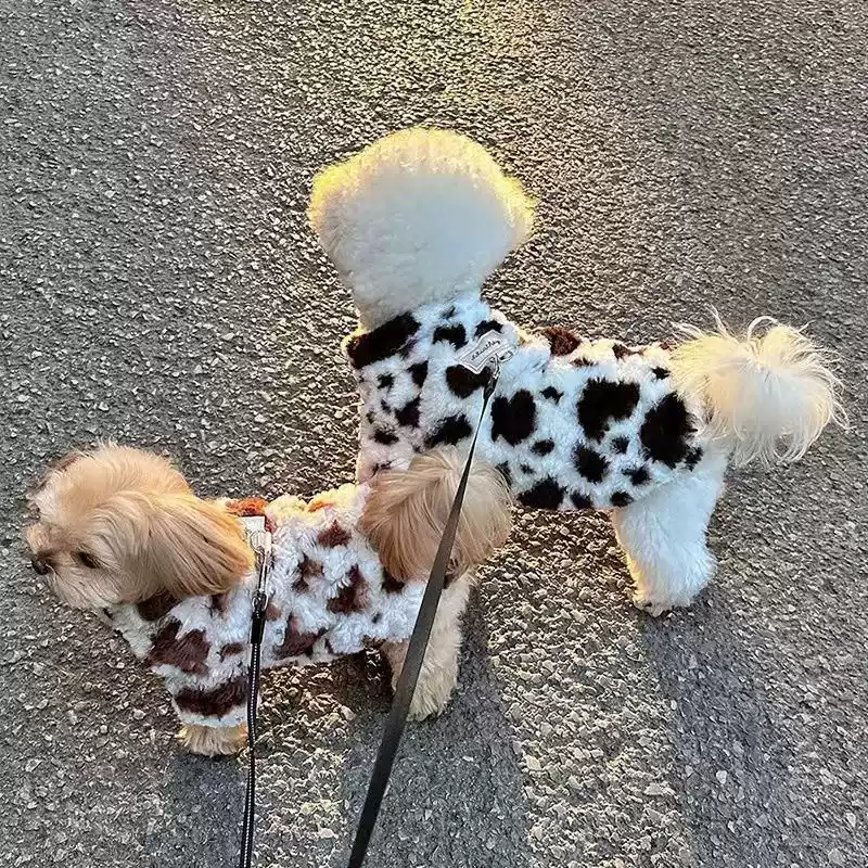 Toasted Brown Dairy Cow Plush Winter Pet Cotton Coat with Leash, Suitable for Cats, Yorkshire Terriers, Bichon Frises