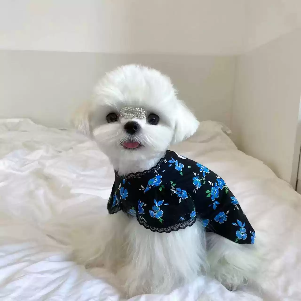 Small Breed Puppy Summer Floral Vest Dress