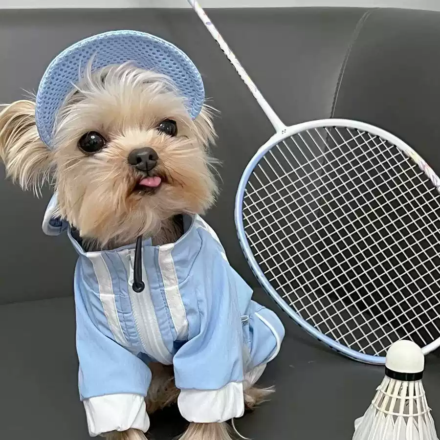 Hooded Autumn Winter Dog Jacket for Small Pets