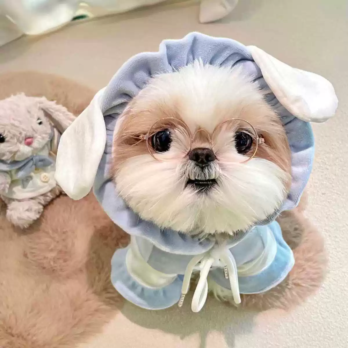 Cute Plush Sweatshirt for Cats & Dogs, Little Fox Design, Suitable for Spring, Autumn, Winter