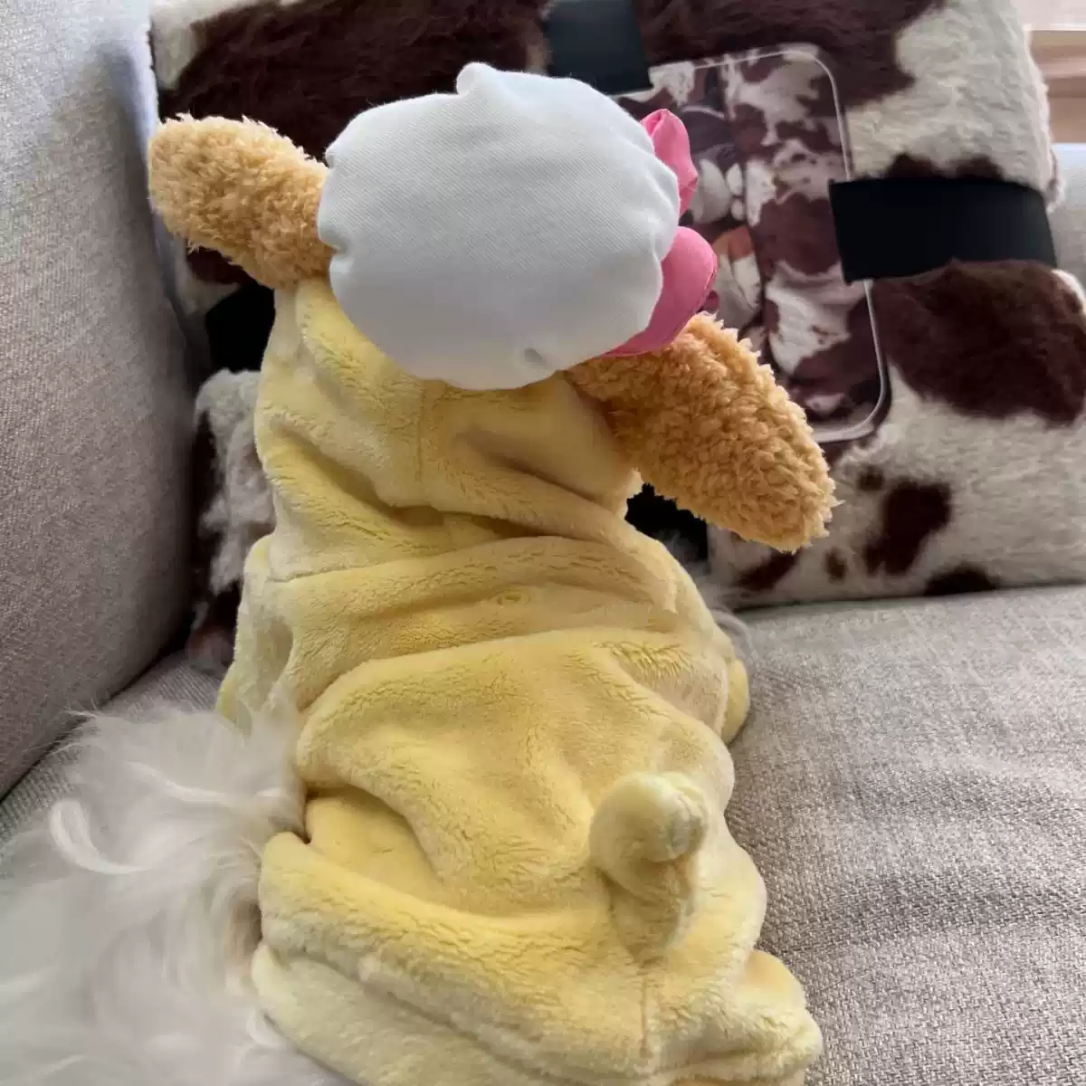 Cute Cat & Dog Flannel Winter Two-Piece Outfit