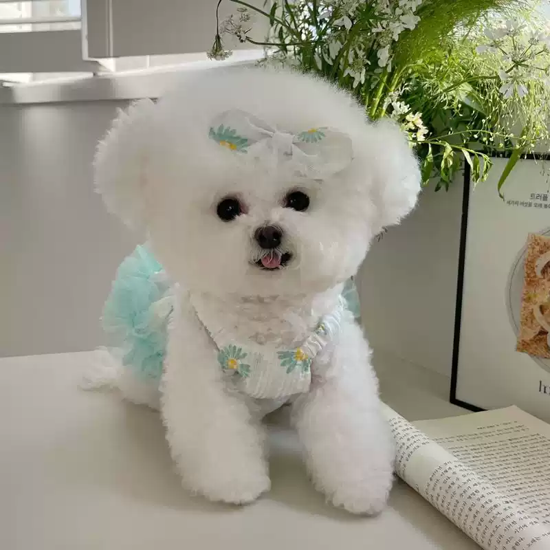 Pet Clothes Spring/Summer New Style Fresh Floral Print Lace Trim Camisole Dress Lightweight for Dogs & Cats