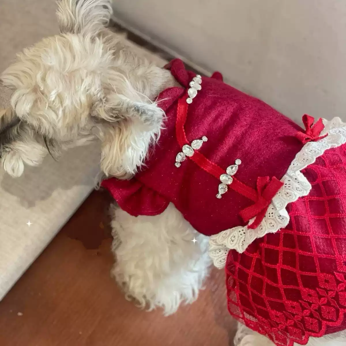 Pet Clothes Autumn Winter New Festive Warm New Year Dress for Dogs & Cats