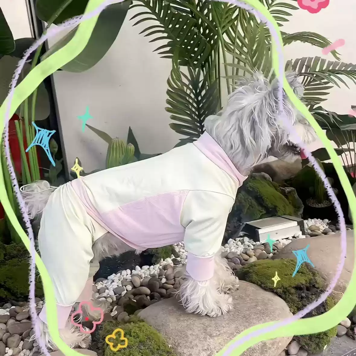 Dust-Proof Summer Lightweight Four-Legged Dog Pet Clothes, Insect-Repellent Sun Protection for Outdoor (Spring & Summer)