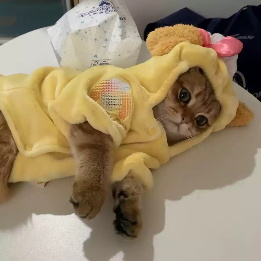 Autumn & Winter Fluffy Pet Hooded Coat - Funny Bear Transformation Outfit for Cats & Dogs