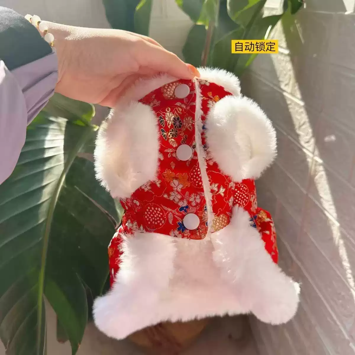 Pet Clothes Autumn Winter New Fleece Lined New Year Tang Suit Dress for Dogs & Cats (Teddy, Bichon)