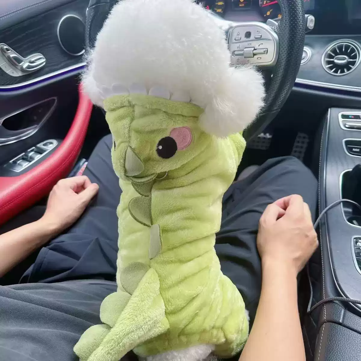 Small Dog Autumn & Winter 4-Legged Outfit with 3D Tail & Leash