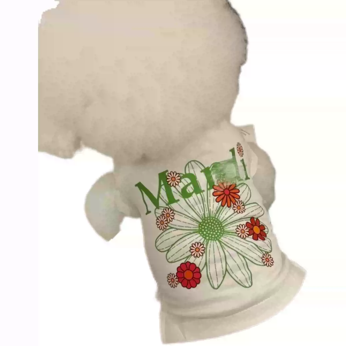 Pet Cat & Dog Summer Thin Two-Legged Clothes