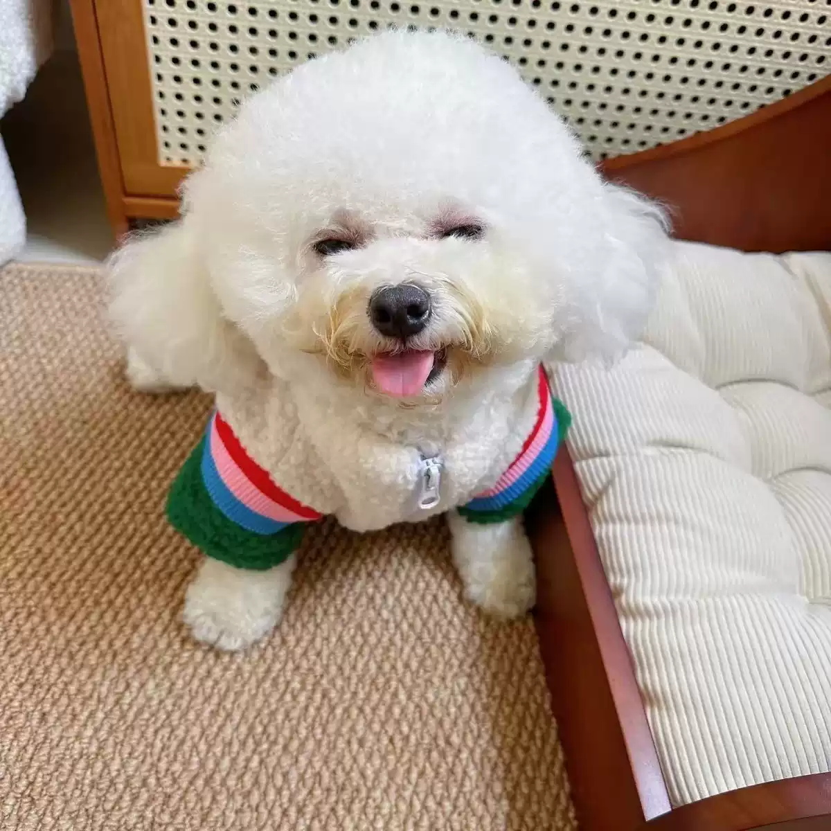 Thickened Lamb Wool Dog Coat - Warm for Small Dogs in Autumn/Winter