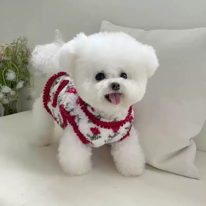 Festive Autumn & Winter New Double-Sided Plush Thickened Vest for Dogs & Cats