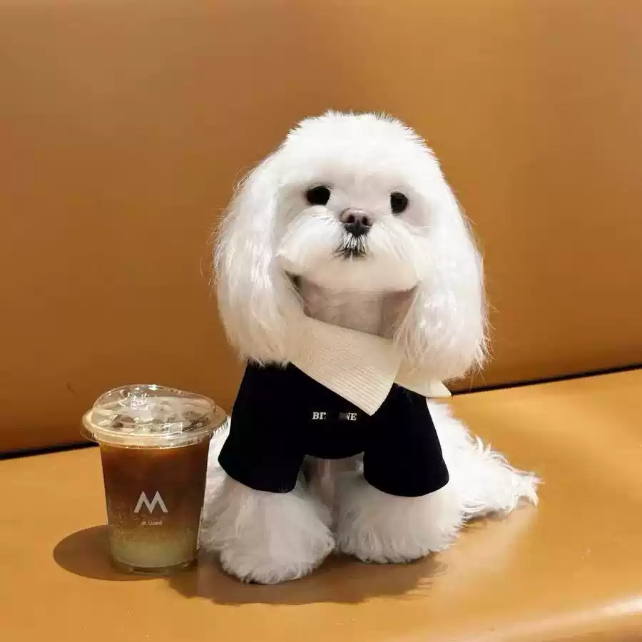 Warm Two-Legged Dog Hoodie Vest - Autumn & Winter Pet Clothing