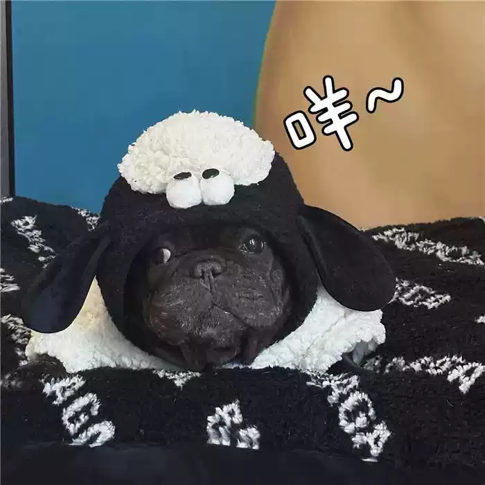 Cute Lamb Transformation Vest - Thick Fleece for Autumn & Winter