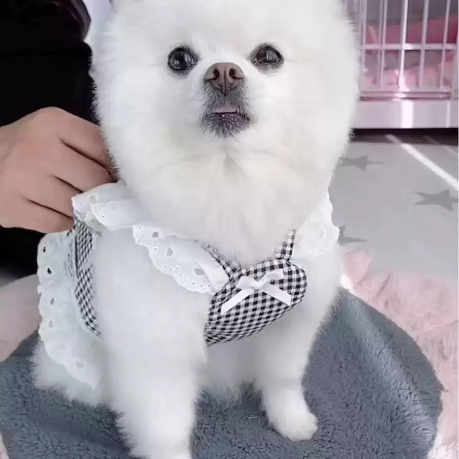 Pet Dog & Cat Spring/Summer Thin Harness with Countryside Check Pattern