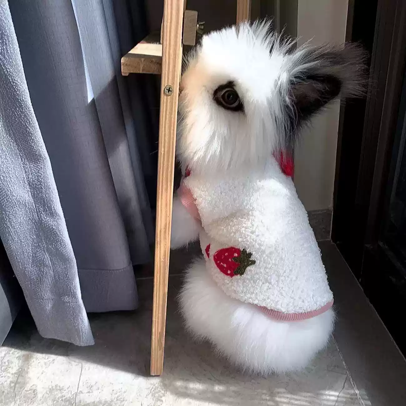 Pet Rabbit Winter Outdoor Outfit - Cold-Weather Protection for Dwarf, Baby, Angora, and Lop-Eared Rabbits