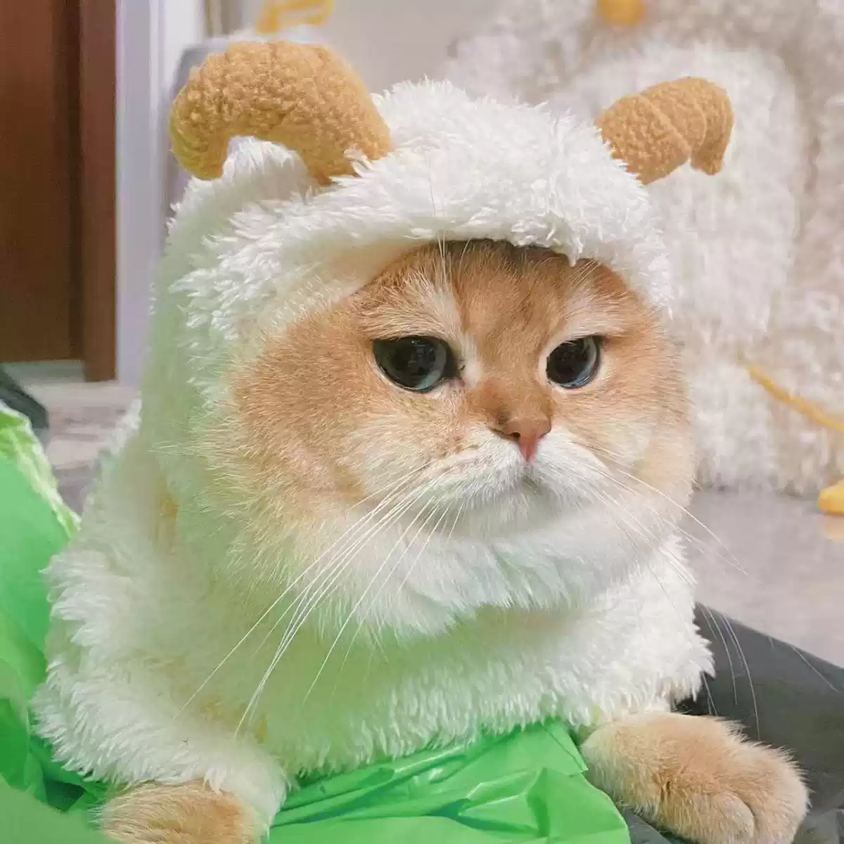 Pet Four-Legged Warm Outfit, Autumn/Winter Thick Flannel for Small and Medium Dogs and Cats