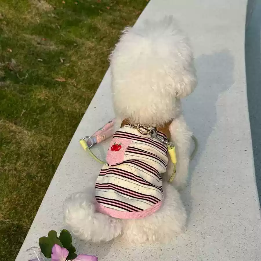 Color-Blocked Striped Pet Tank Top - Small Dog & Cat Spring/Summer Vest