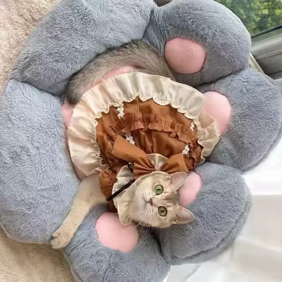 Pet Dog Lolita-style Dress