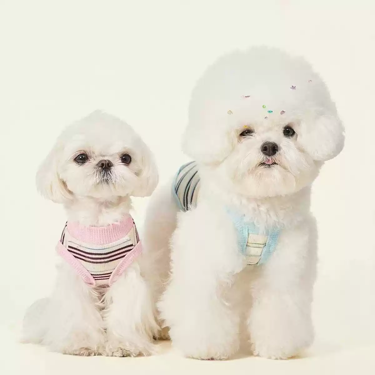 Small Pet Thin Cute Striped Vest T-Shirt for Dogs and Cats