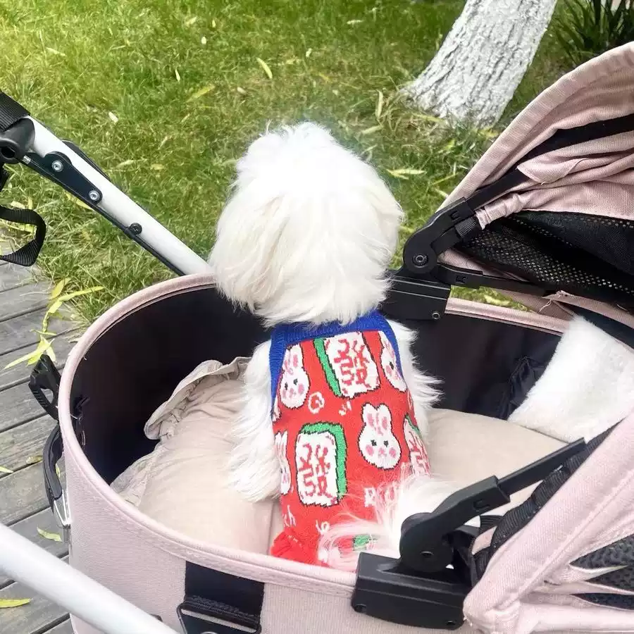 Pet Dog & Cat New Year Sweater, Red Festive Winter Spring Outfit, New Year Celebration Clothing