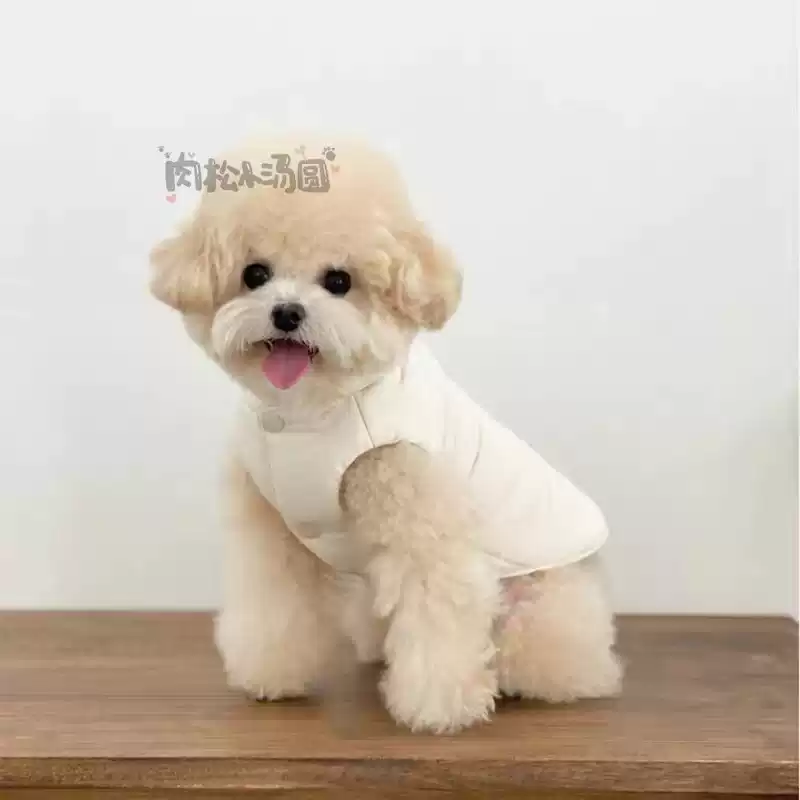 Autumn & Winter New Double-Sided Fresh Checkered Dog Warm Cardigan Vest