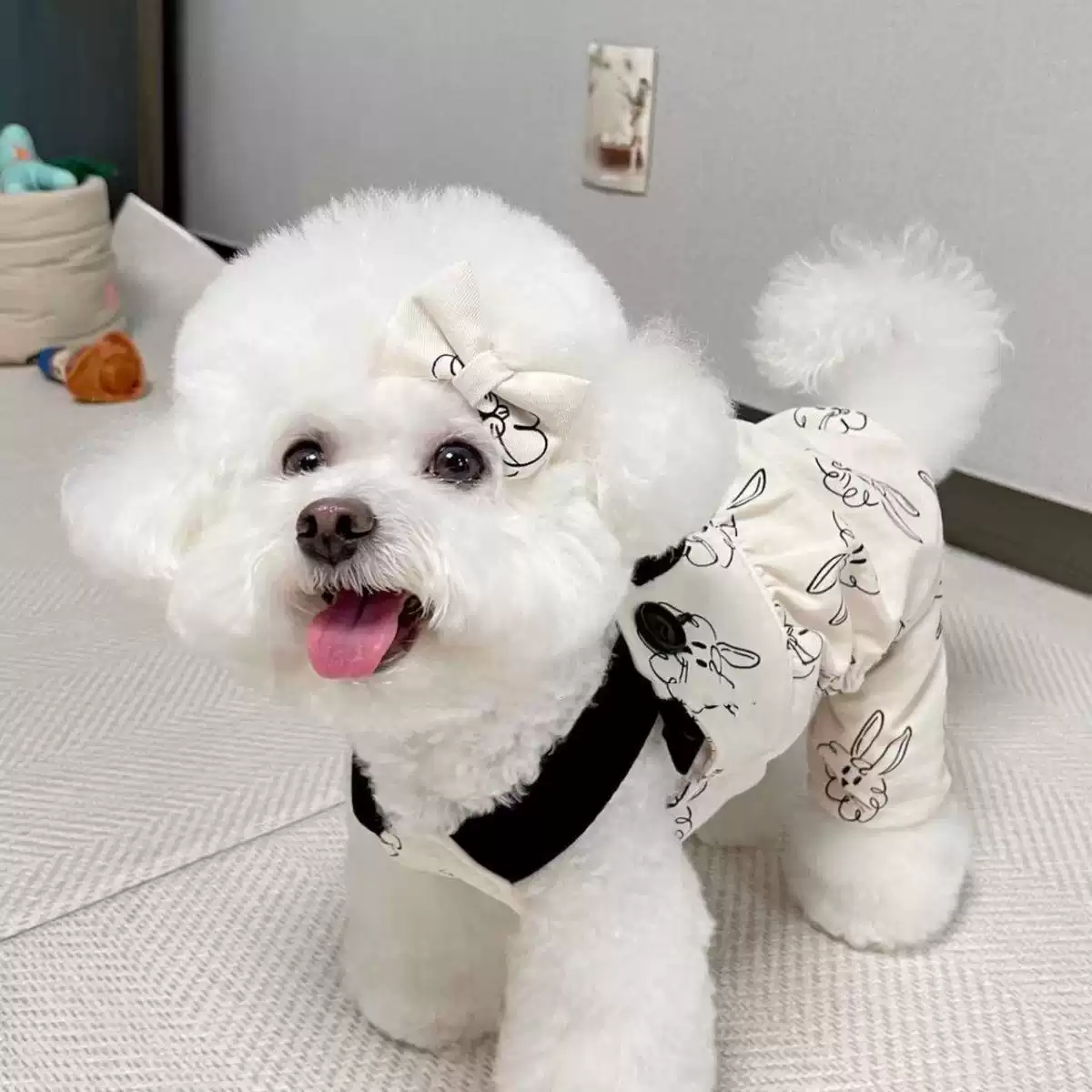 Small Dog Suspender Pants - Casual Trendy Style