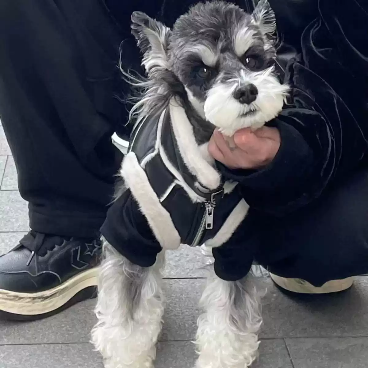 Winter Thickened Faux Fur Leather-Style Jacket for Small Dogs & Cats